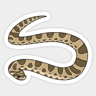 Hognose Snake Sticker